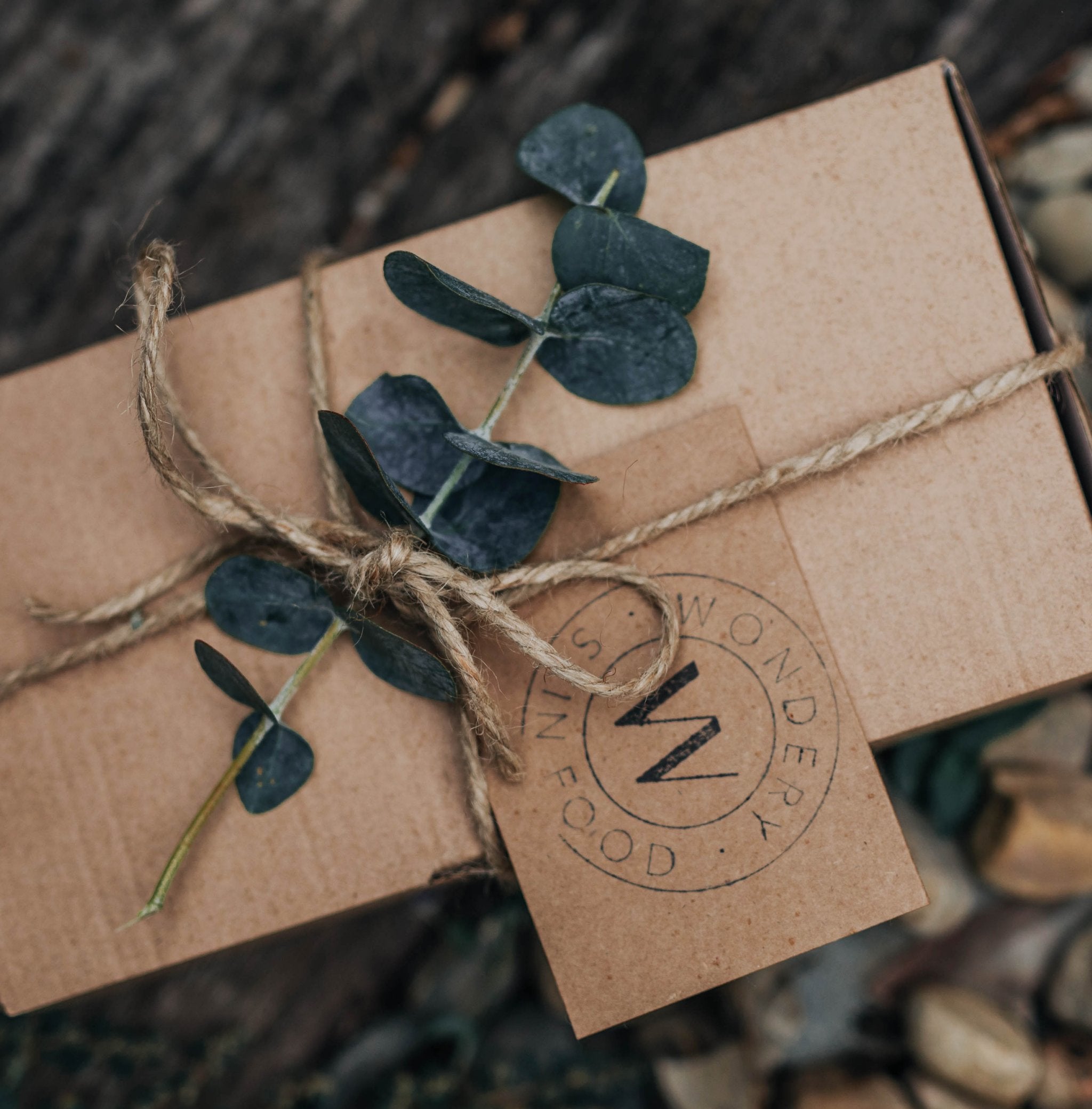 The Christmas Gift Shop Wondery Skin Food